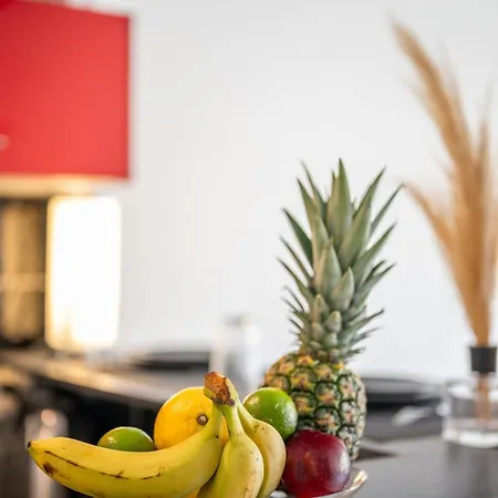 Le Serenity - Proche Gare - Hyper Centre مينتون